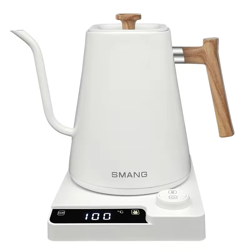 Electric Gooseneck Pour Over Kettle